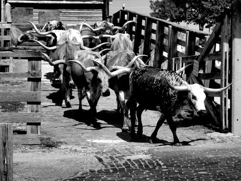 Stockyards Hotel